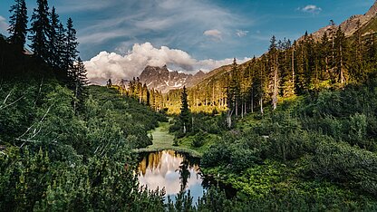 Biketour zum Schwarzsee im hinteren Silbertal mit Bergsee, Wald und Montafoner Naturkulisse.